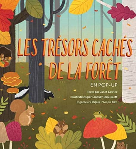 Album jeunesse sur l'automne Les trésors cachés de la forêt