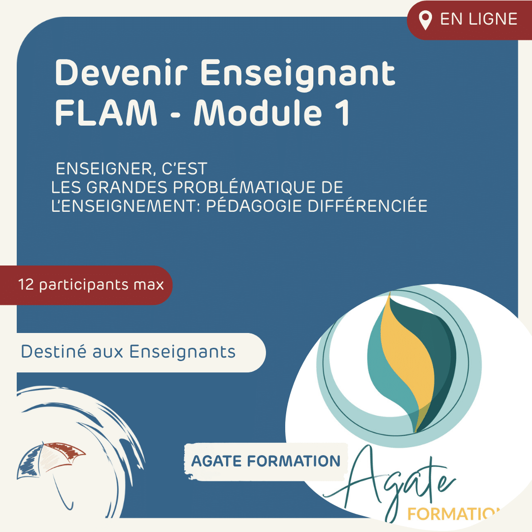 Module 1: Devenir enseignant FLAM: Enseigner, Les grandes problématiques de l’enseignement: Pédagogie différenciée