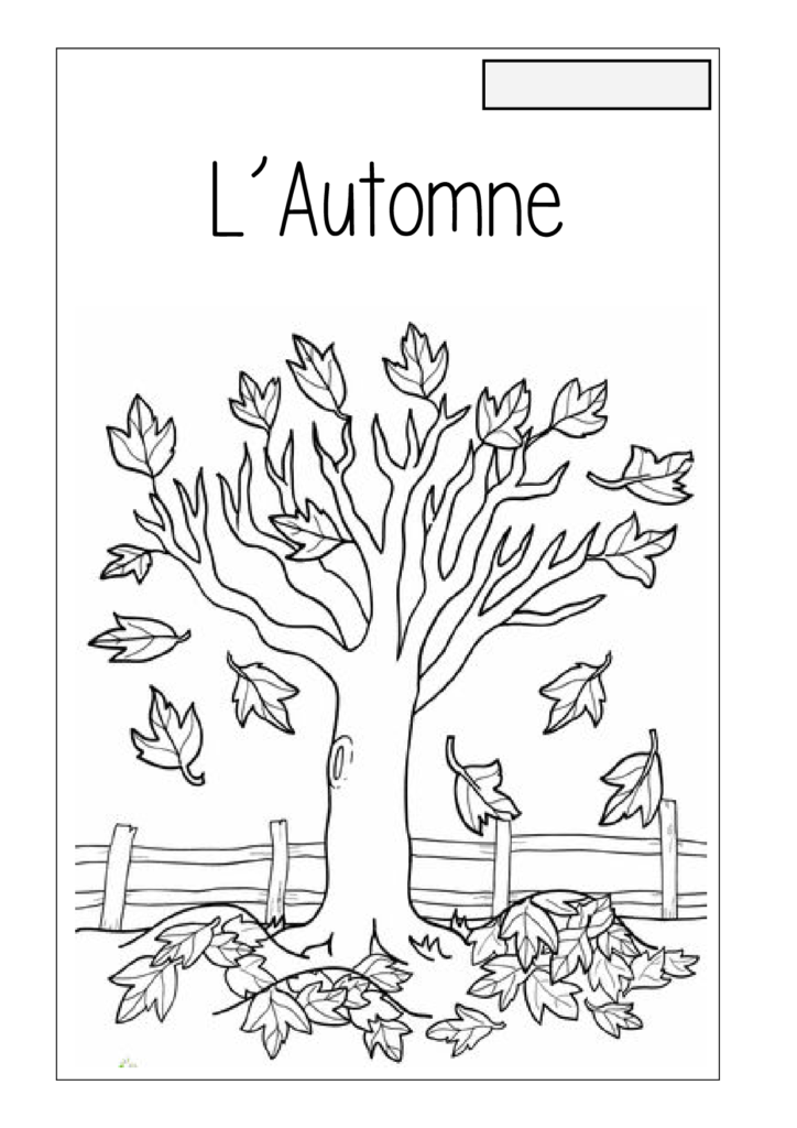 Diaporama et activités sur l'automne au CP — À l'école de Barbara